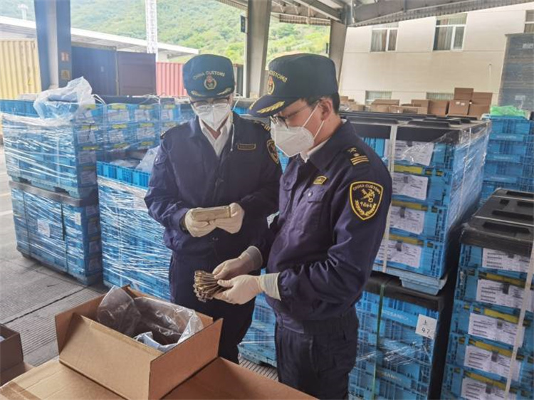 Насърчаване на външната търговия за осигуряване на стабилност и подобряване на качеството Митниците на Нинбо издадоха 20 „основни“ мерки