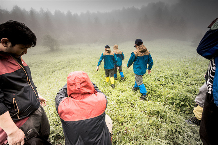 Какво е SURVIVA Wilderness Survival?